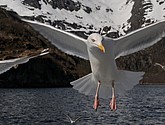 DSC_9074.JPG