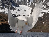 DSC_9075.JPG