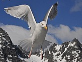 DSC_9077.JPG