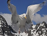 DSC_9078.JPG