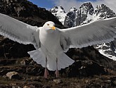 DSC_9087.JPG