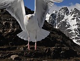 DSC_9089.JPG