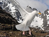 DSC_9090.JPG