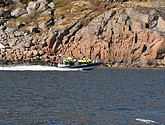DSC_9100.JPG