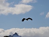 DSC_9103.JPG