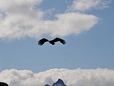DSC_9105.JPG