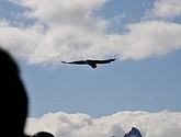 DSC_9106.JPG