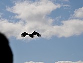 DSC_9107.JPG