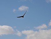 DSC_9108.JPG