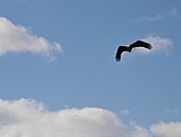 DSC_9111.JPG