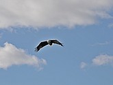 DSC_9113.JPG
