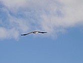DSC_9114.JPG