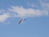 DSC_9115.JPG