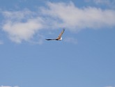 DSC_9116.JPG