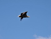 DSC_9117.JPG