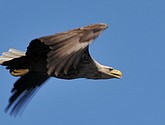 DSC_9119-2.JPG