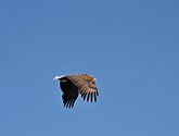 DSC_9120.JPG