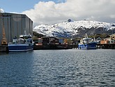 DSC_9125.JPG