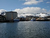 DSC_9126.JPG