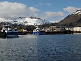DSC_9127.JPG