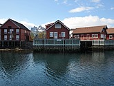 DSC_9130.JPG