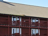 DSC_9132.JPG