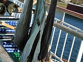 DSC_9147.JPG