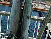 DSC_9148.JPG