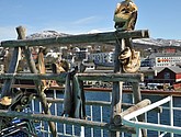 DSC_9152.JPG