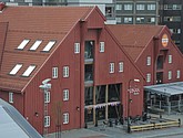 DSC_9178.JPG