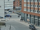 DSC_9179.JPG