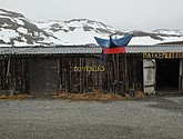 DSC_9193.JPG