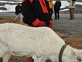 DSC_9200.JPG