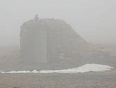 DSC_9221.JPG