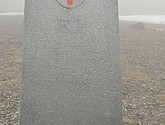 DSC_9223.JPG