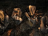 DSC_9227.JPG