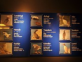 DSC_9229.JPG