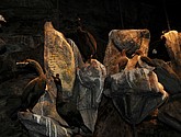 DSC_9231.JPG