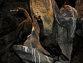 DSC_9232.JPG
