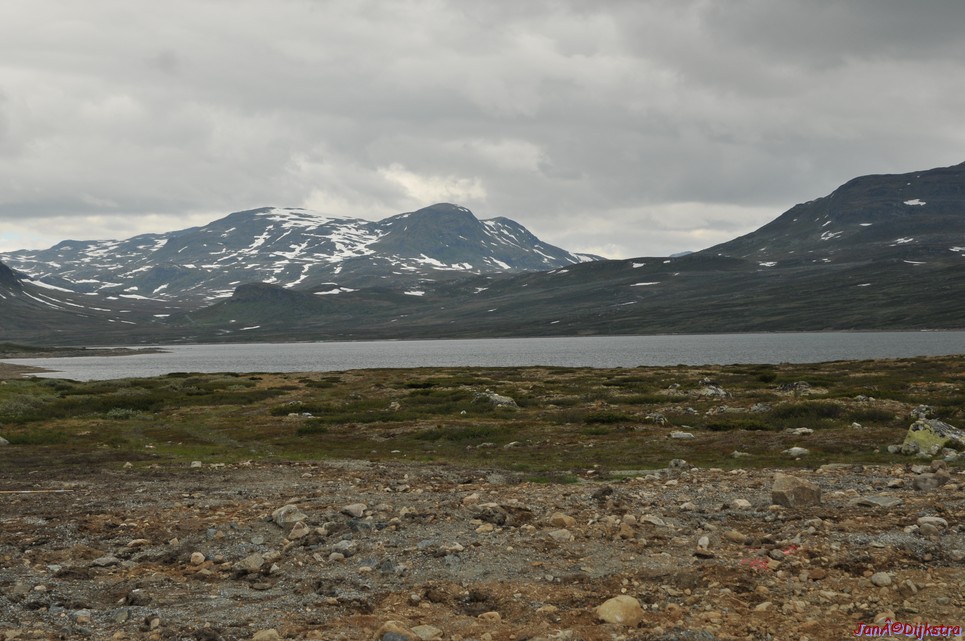 DSC_7642.JPG