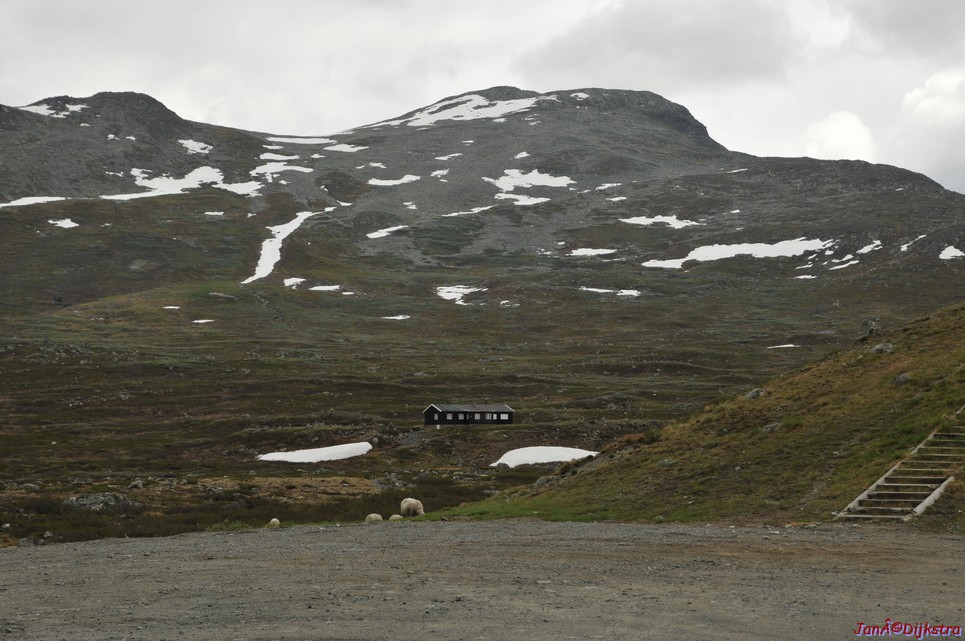 DSC_7644.JPG