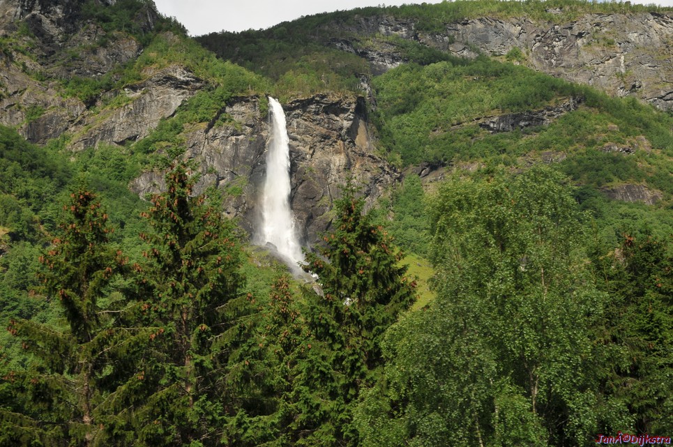 DSC_7664.JPG