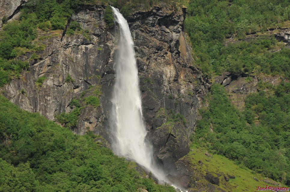 DSC_7667.JPG