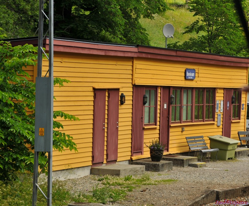 DSC_7679.JPG