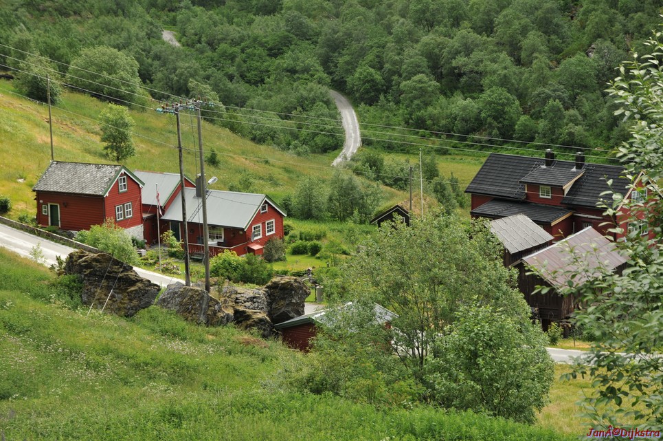 DSC_7681.JPG