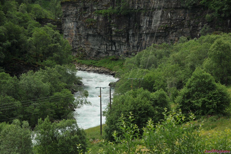 DSC_7684.JPG