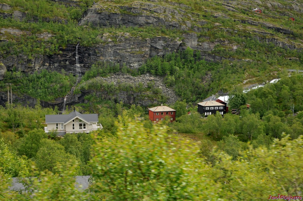 DSC_7735.JPG
