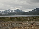 DSC_7642.JPG