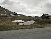 DSC_7646.JPG