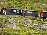DSC_7650.JPG